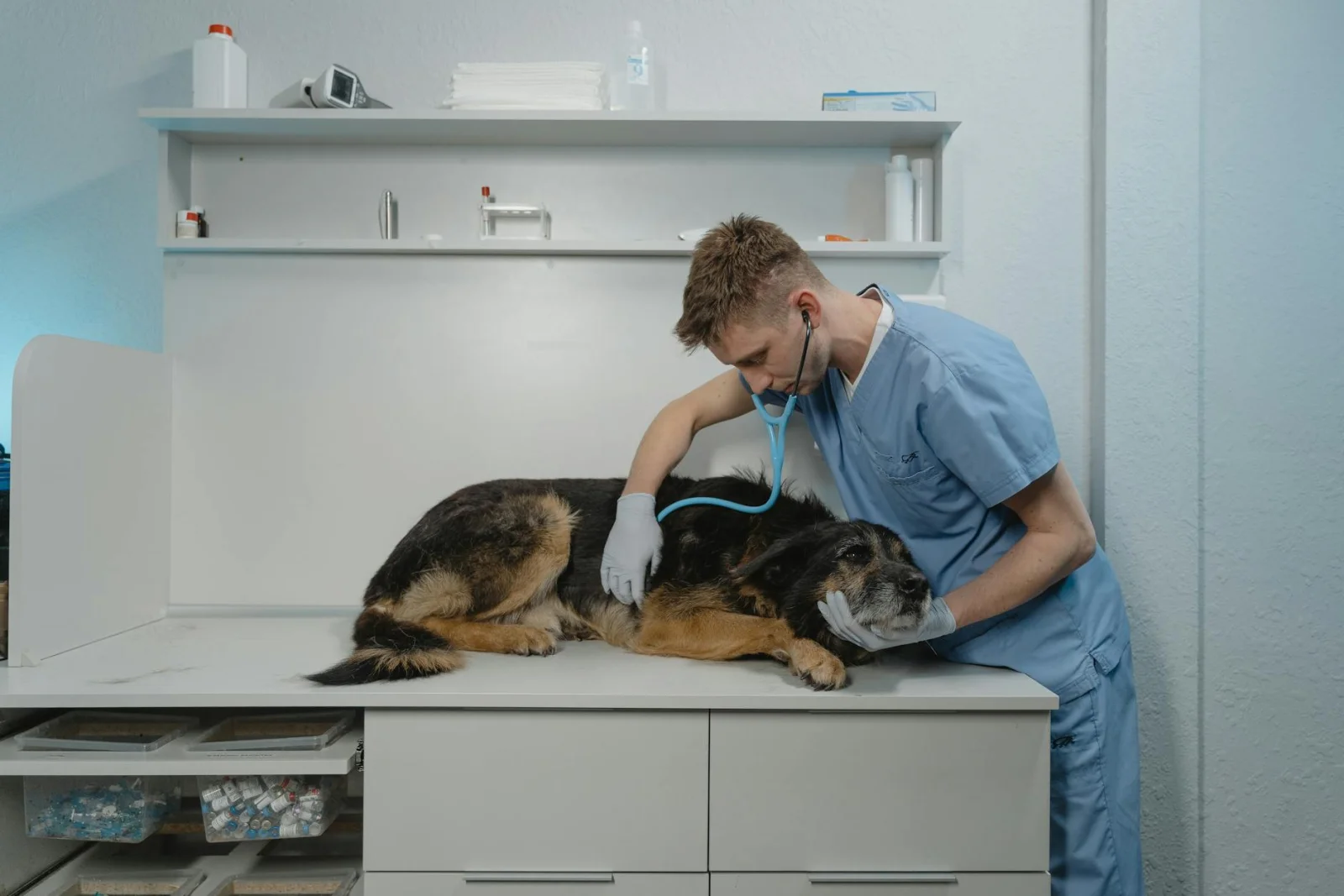 Dierenartspraktijk dienst 3