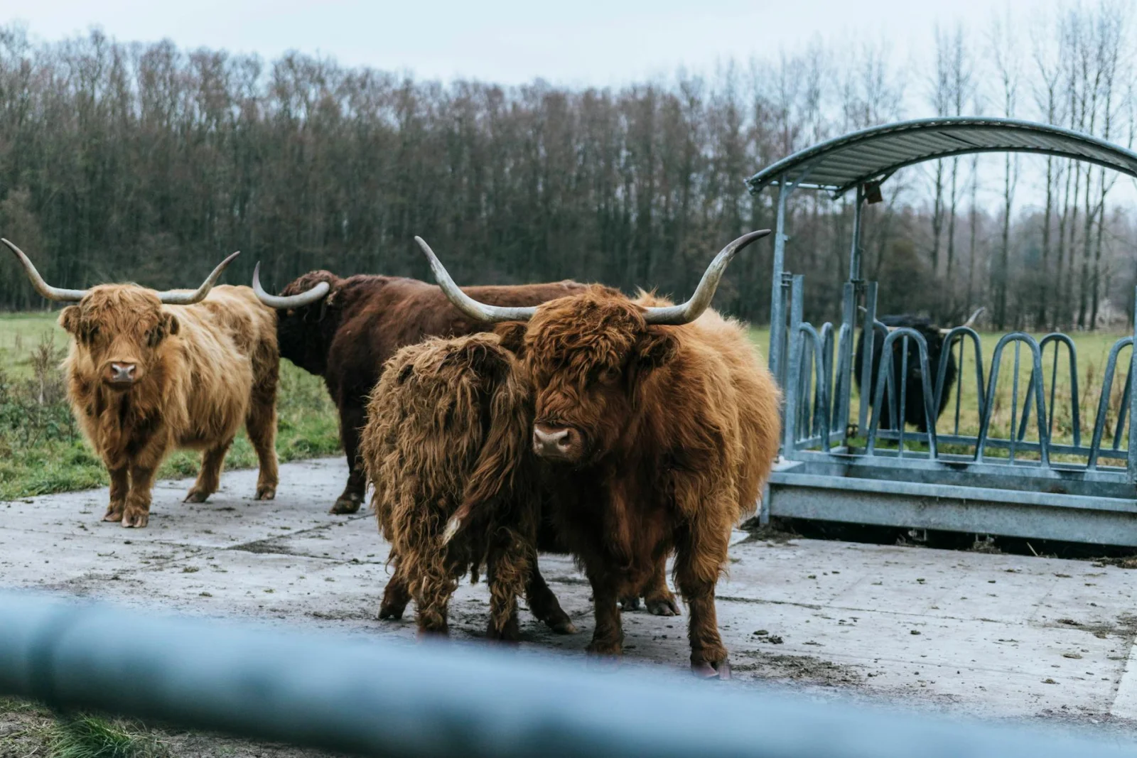 Dierenfokkerij dienst 2