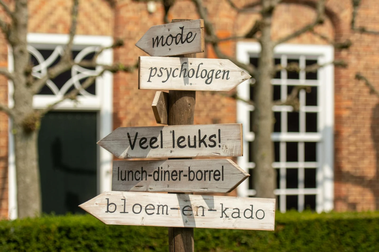 Gezondheidsvoorlichting