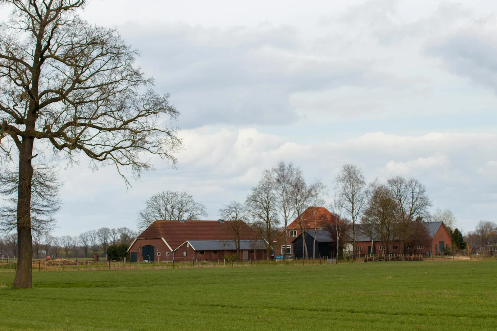 Vijveronderhoud