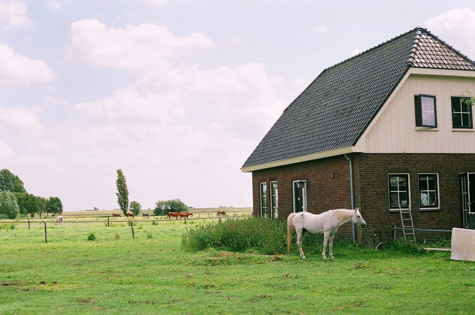 Steigerverhuur