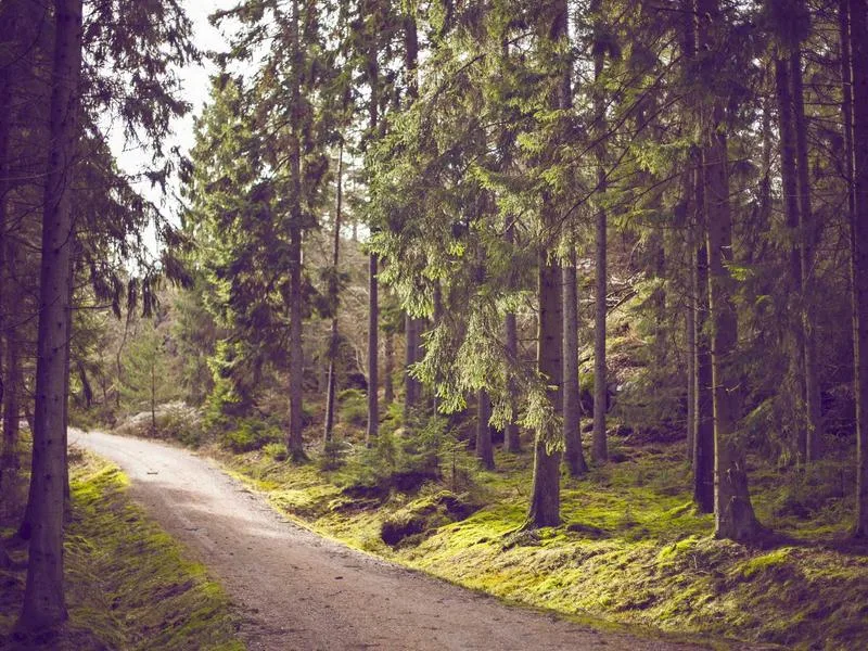 Vrachtvervoer blog